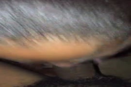 You can use masturbate with a dildo to this video clip, but if you want somethi...